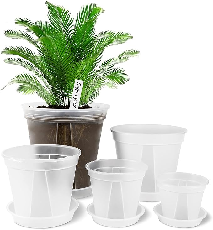 GREENPARA Transparent Plastic Garden Pots Planter by GREENPARA