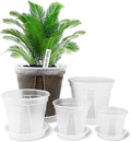 GREENPARA Transparent Plastic Garden Pots Planter by GREENPARA