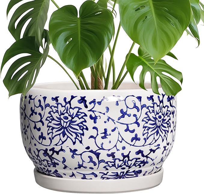 SQOWL Ceramic Pots for Plants by SQOWL