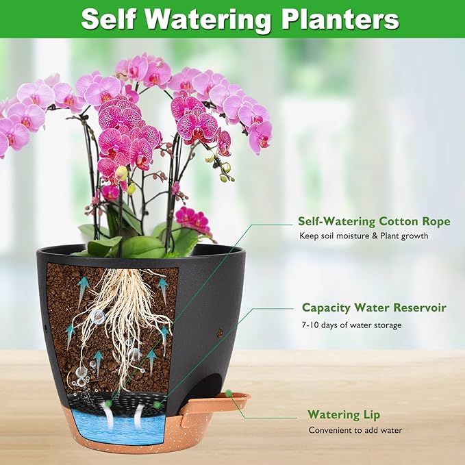 6 Inch Orchid Pots with Holes, 2 Pack Self Watering Planters - Image 2