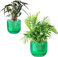Melphoe Self Watering Pots for Indoor Plants Planter, 6.5/5.3 Inch 2 Pack by Melphoe