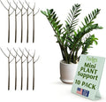 Mini Twigs Plant Support Stakes by TwigsGardenAccessories