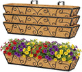 Y&M 30 Inch Butterfly Window Deck by YM