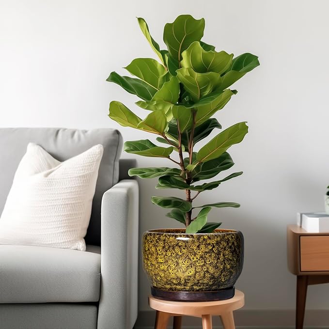 SQOWL 10 Inch Plant Pot - Image 2