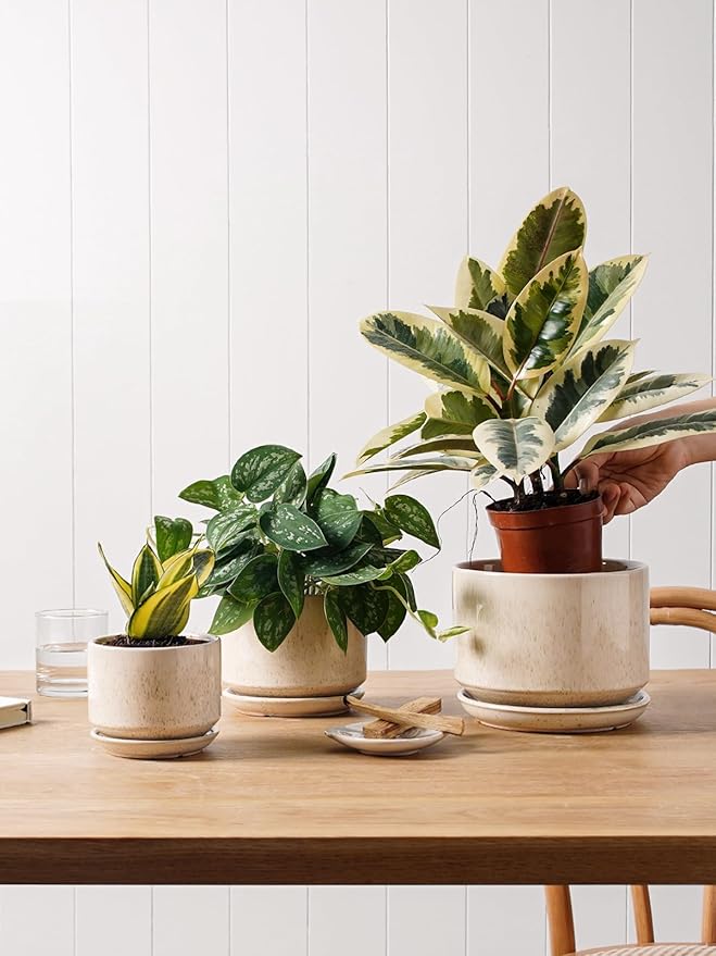 LE TAUCI Ceramic Plant Pots, 4.3+5.3+6.8 inch, Planters - Image 4
