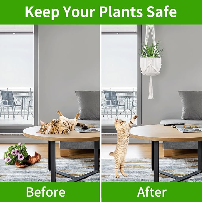 Macrame Plant Hangers - Image 5