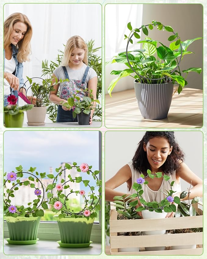 3 Pcs Different Sizes Metal Hoya Trellis, Small Round Indoor Plant Trellis - Image 7
