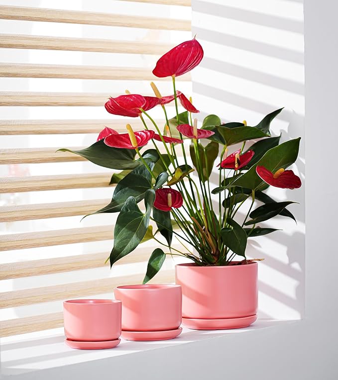 Ton Sin Ceramic Plant Pot with Drainage Hole and Saucer - Image 4