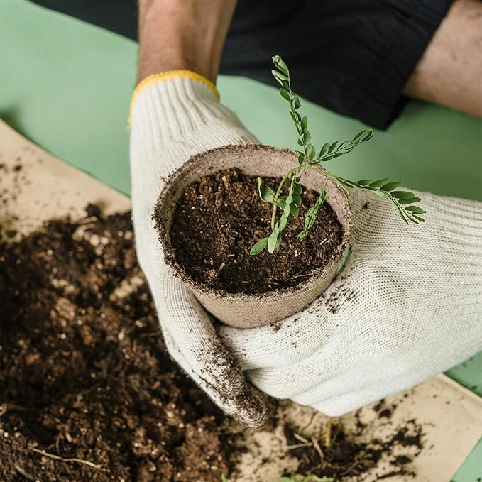 100 Pack 4 Inch Peat Pots, Biodegradable Seed Starter Pots - Image 3