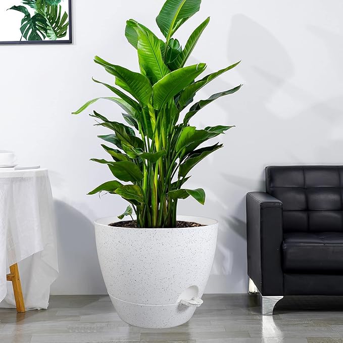 12 inch Large Self Watering Pots, Plastic Planters - Image 6