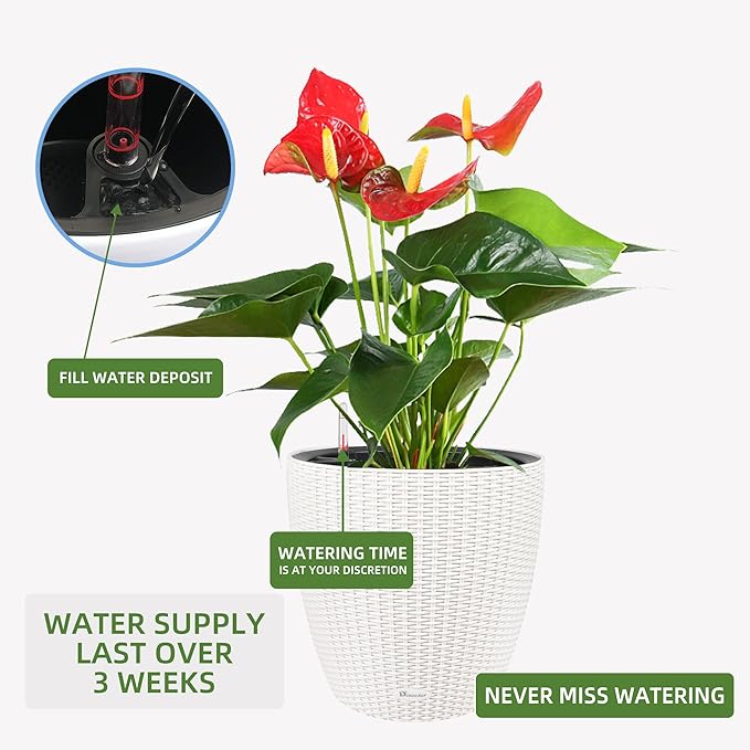 Dexceder 18x17 Inches Rattan Self Watering Planter Indoor Outdoor, Inner Pot - Image 5