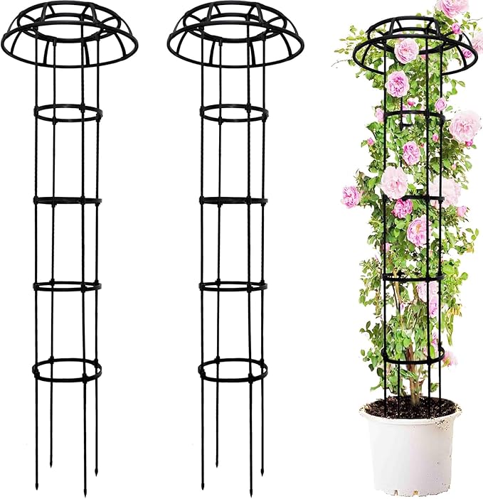 2-Pack 65-Inch Garden Trellis for Climbing Plants, Heavy-Duty Metal Obelisk by TCBWFY