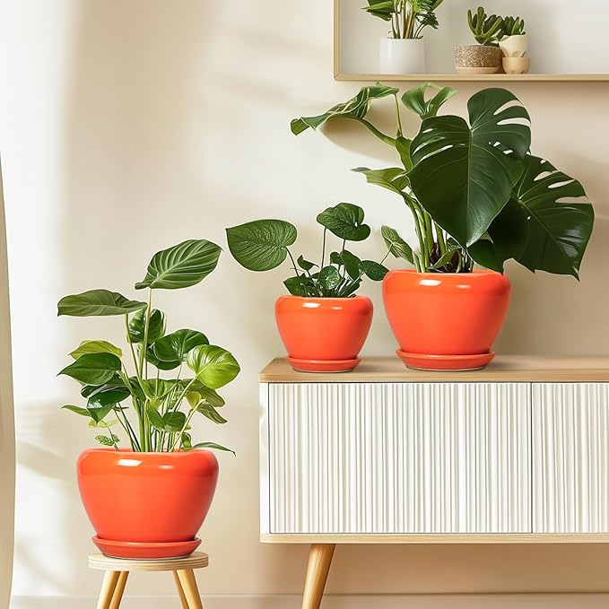 Ceramic Plant Pot 6 Inch - Image 8