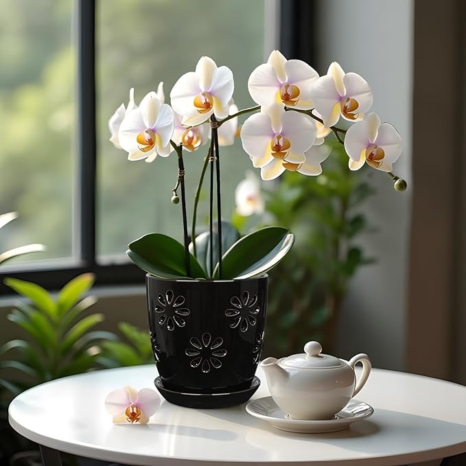 Oairse 6 inch Orchid Pots with Holes, Indoor Plant - Image 5