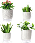 Self Watering Pots for Indoor Plants, 5 & 4 Inch Stylish Flower Pots by Etvski