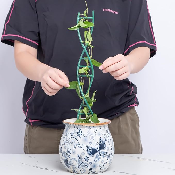 Indoor Plant Trellis - Image 4