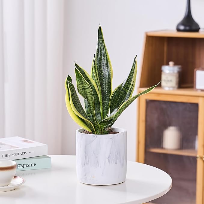 Ekirlin 6 Inch Resin Plant Pot Indoor - Image 3