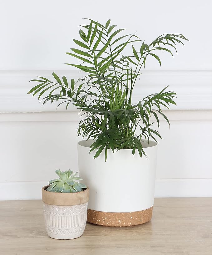 kubvici 8'' Plastic Flower Planter Pots Set of 2 Indoor Outdoor Planters - Image 5