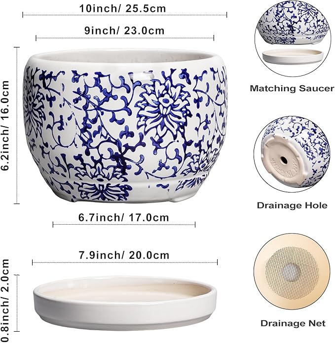 SQOWL Ceramic Pots for Plants - Image 3