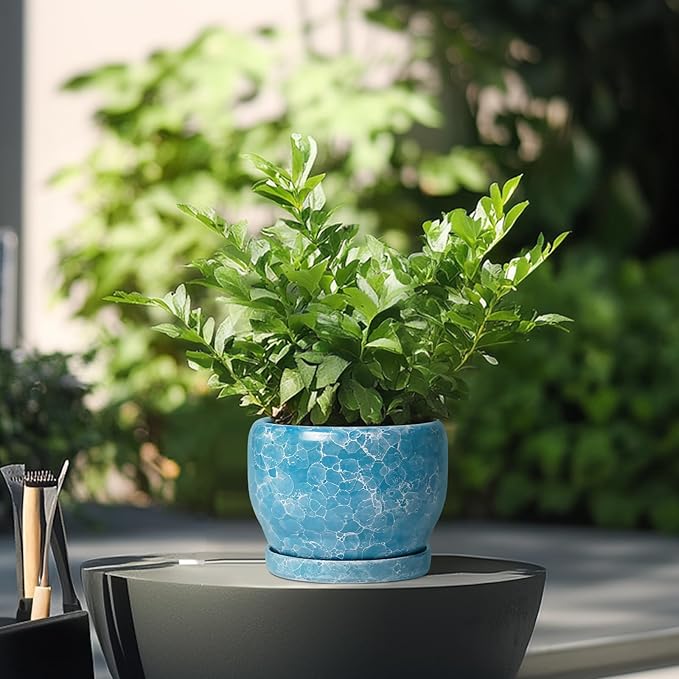 SQOWL 6 Inch Plant Pot - Image 4