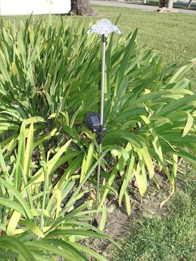 Solar Garden Stake Lights with Color Changing LED or Regular White LED - Image 3