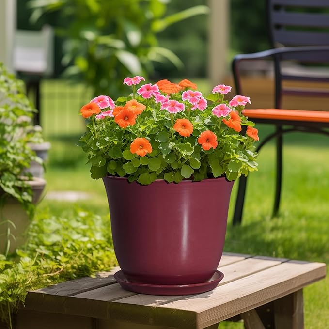 12 Inch Pots for Plants - Image 4