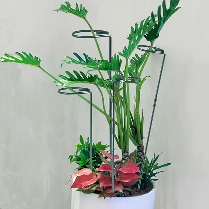 Plant Stake Support - Image 6