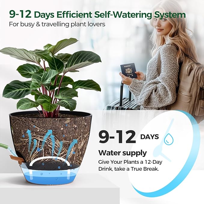 2 Pack 10 Inch Self Watering Pots - Image 4