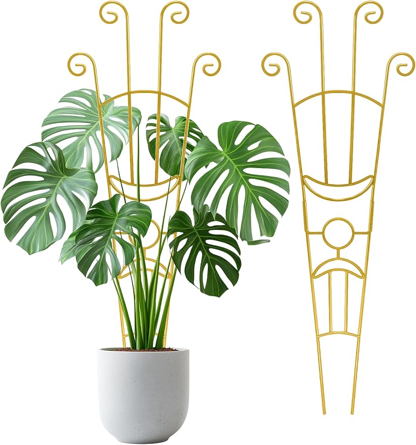 33 Inch Tall Expandable Metal Trellis by Unknown