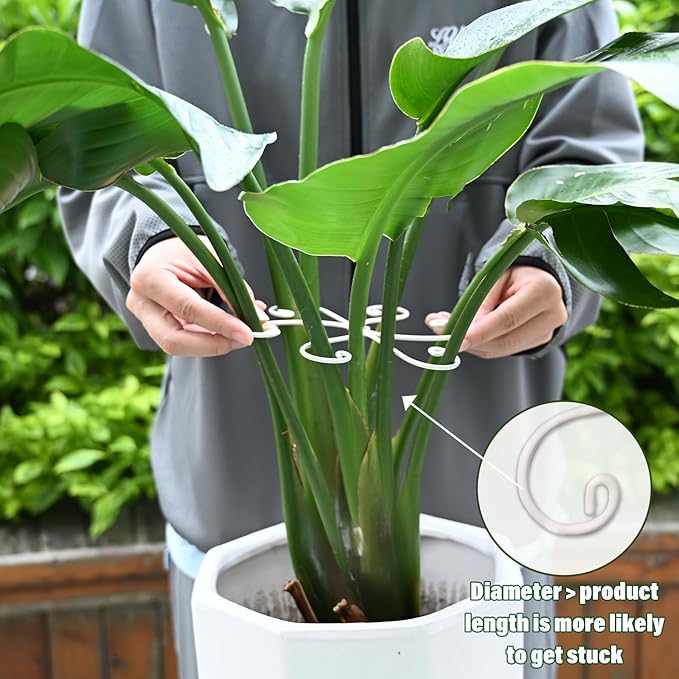 6.5 * 6.5in Monstera Plant Support Hook 5PCS - Image 4