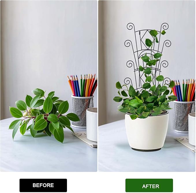 4 Pack Stackable Metal Plant Trellis - Image 5