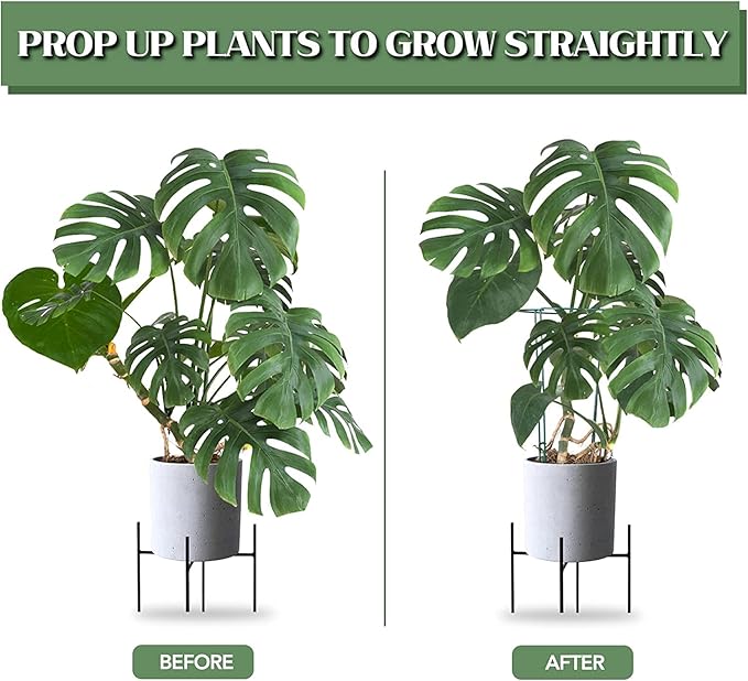 Joyhalo 12 Pack Tall Snake Plant Support Stakes - Image 2