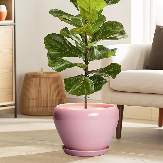 10 Inch Plant Pot - Image 2
