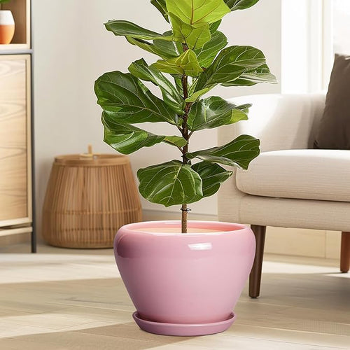 10 Inch Plant Pot - Image 2