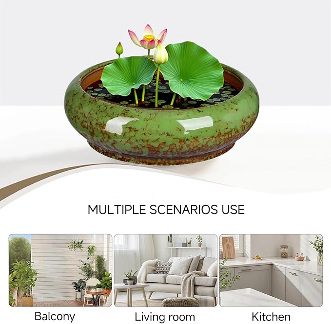 7.3 Inch Succulent Planters Pots Shallow Ceramic Glazed Planter Pots, Lotus - Image 6