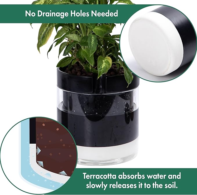 Phoenix Vine 10 Inch Self Watering Terracotta Planter - Image 5