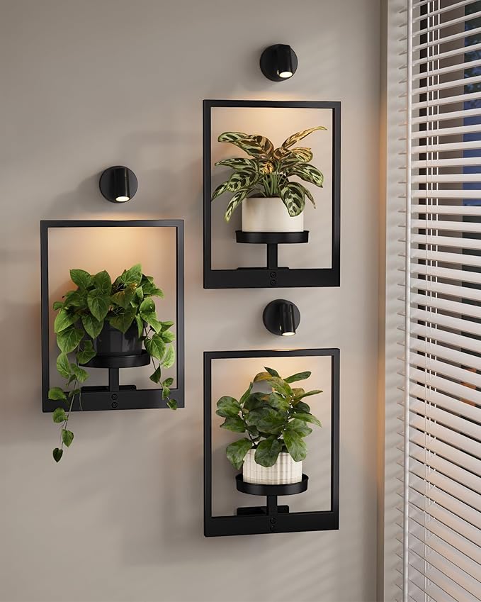 Bamworld Hanging Planters for Indoor Plants Wall Decor Living Room Plant Stand by Bamworld