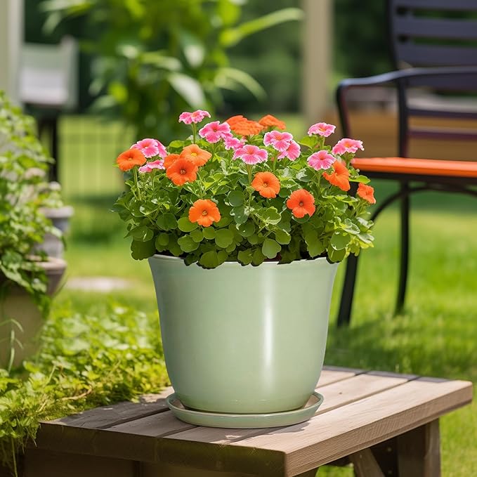 Ceramic Planter - Image 4