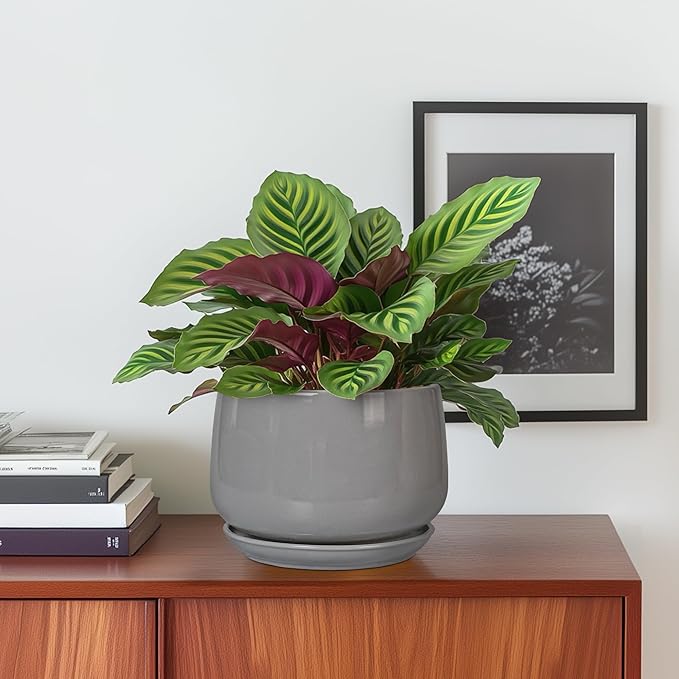 G EPGardening Ceramic Pot for Plants - Image 2