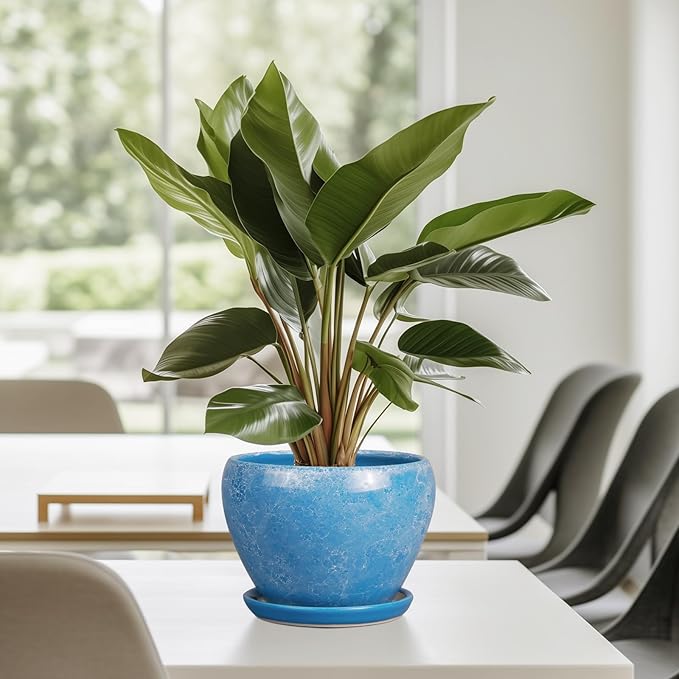 6 Inch Plant Pot - Image 8