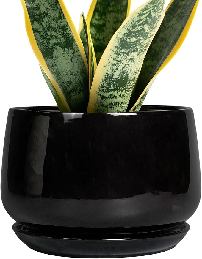 G EPGardening Ceramic Planter 7 Inch by GEPGardening
