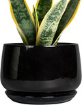 G EPGardening Ceramic Planter 7 Inch by GEPGardening