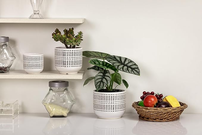 Docrin 3-Pack Ceramic Planters Set - Image 5