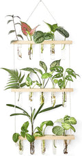 Mkono 3 Tiered Wall Hanging Plant Terrarium by Mkono