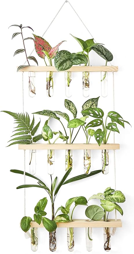 Mkono 3 Tiered Wall Hanging Plant Terrarium by Mkono
