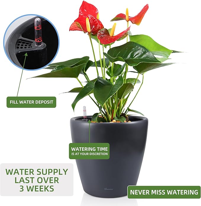 Dexceder 13x12 Self Watering Planter - Image 5
