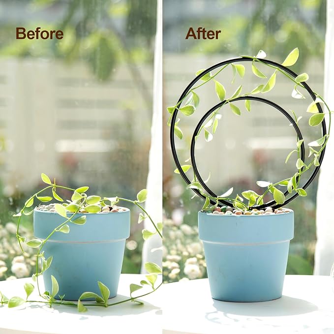 Hoya Trellis Set of 3 Round Climbing Plant Supports - Image 3