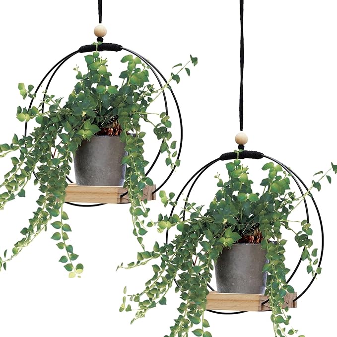 Geelin 2 Pack Plant Hanger by Geelin