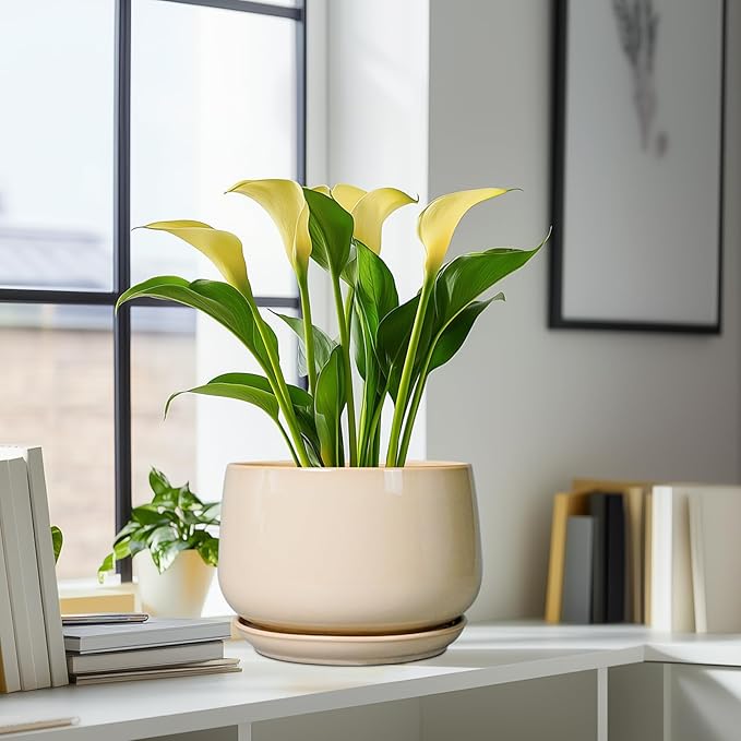 G EPGardening Ceramic Plant Pots - Image 8