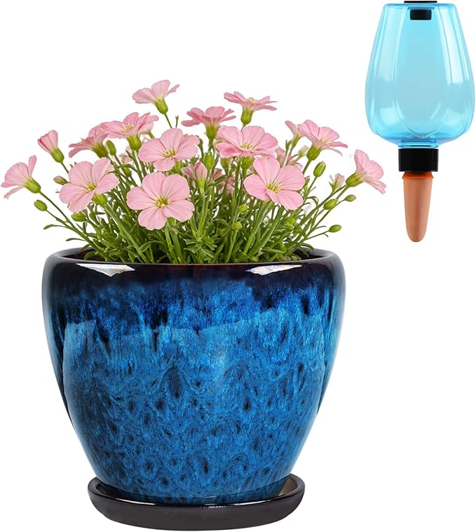 Ceramic Pots for Plant with Self Watering Globes, 6 inch Planters for Indoor - Image 8